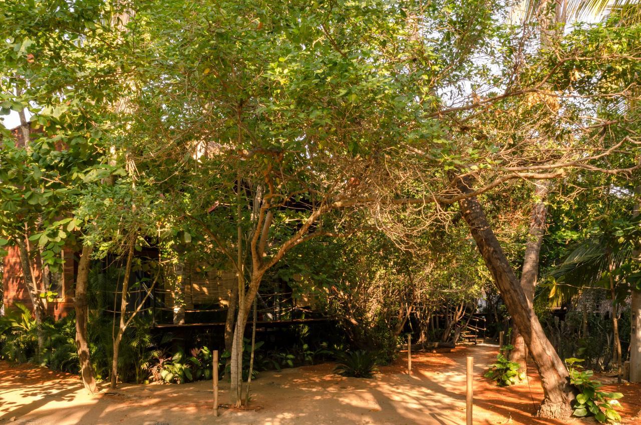 Hotel Noga Zipolite Zewnętrze zdjęcie